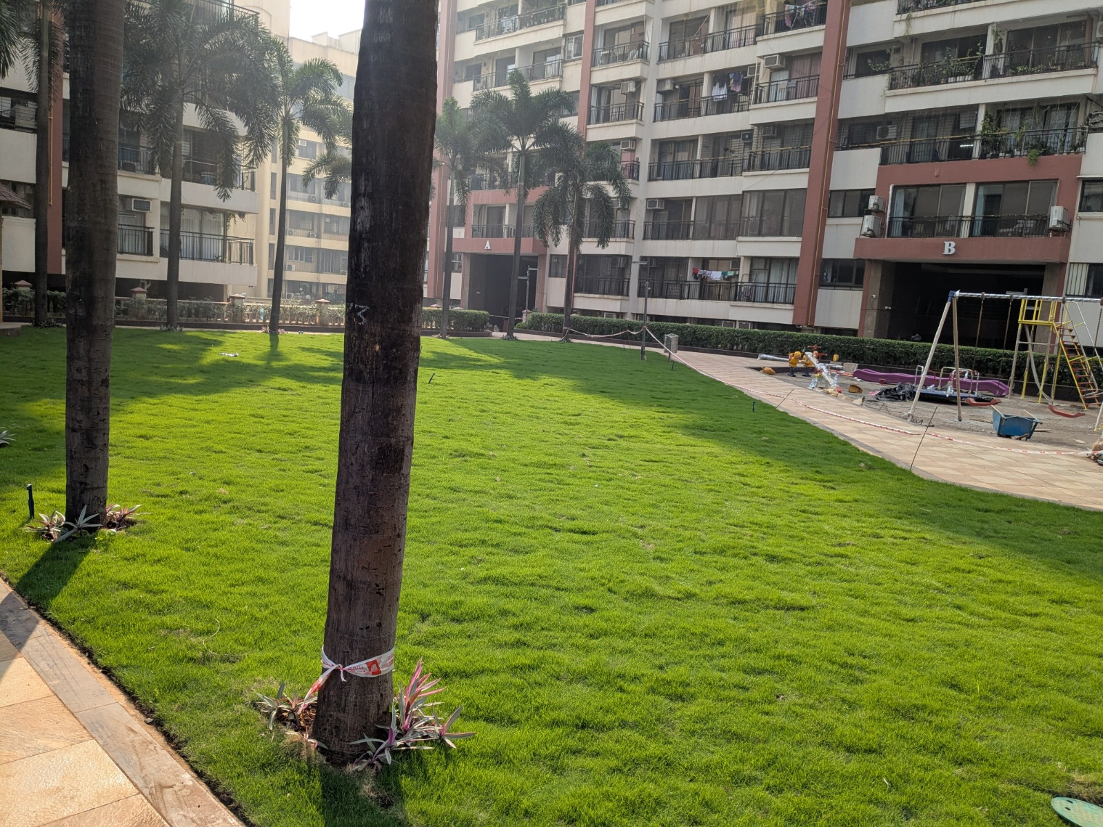 Softscape Execution