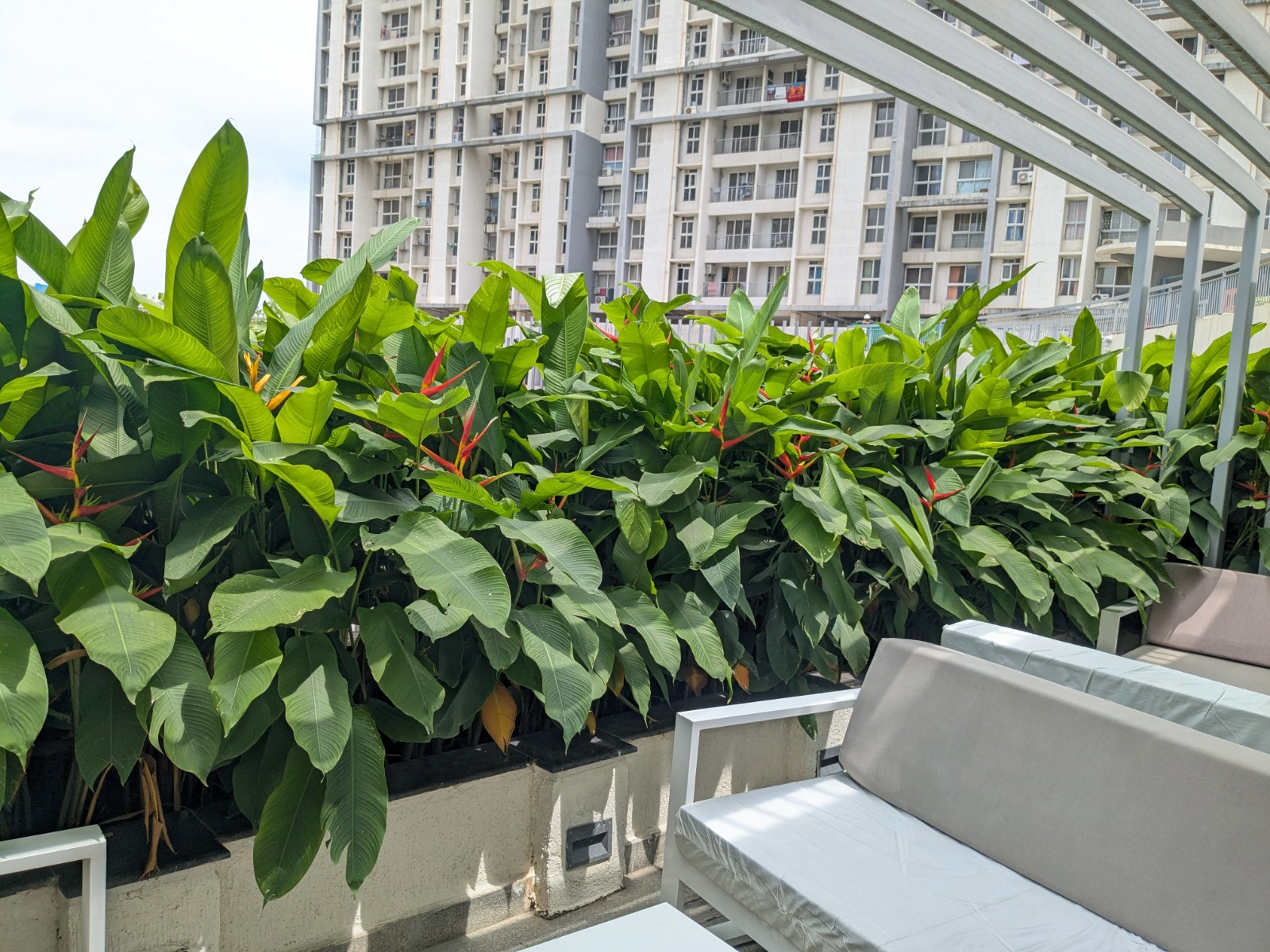 Garden Plantation Sourcing