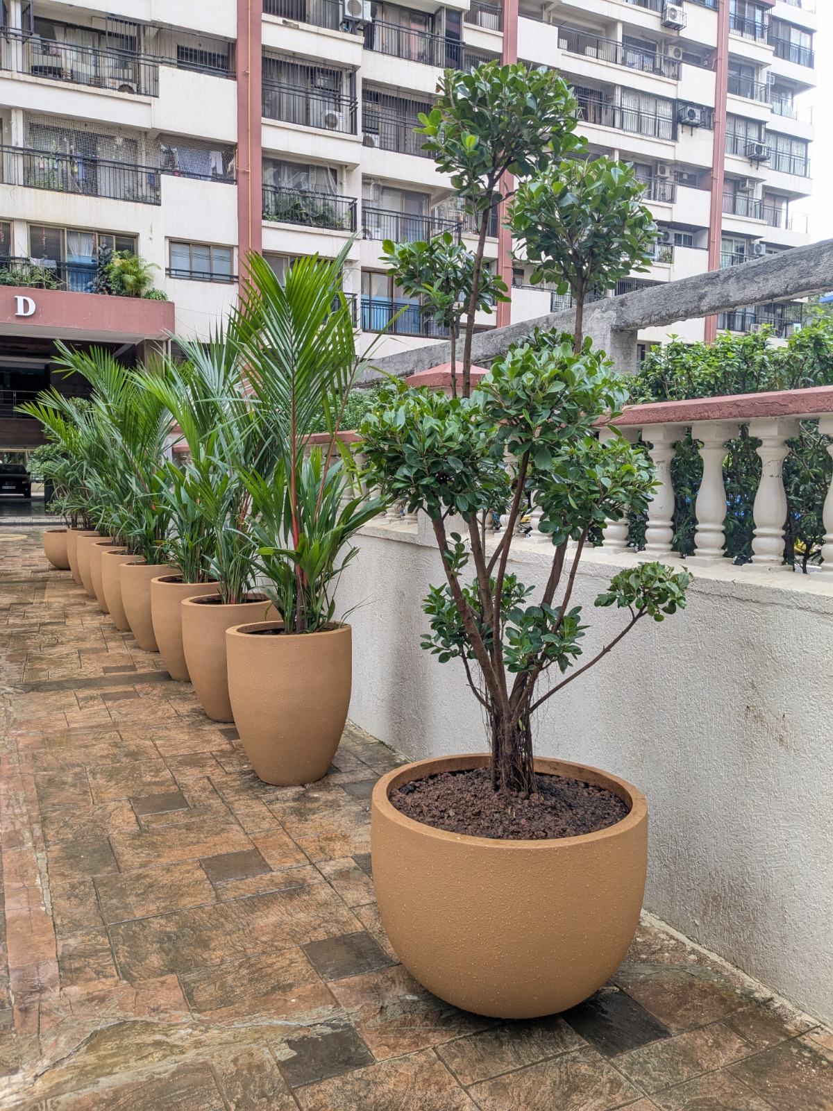Landscape Architecture Design