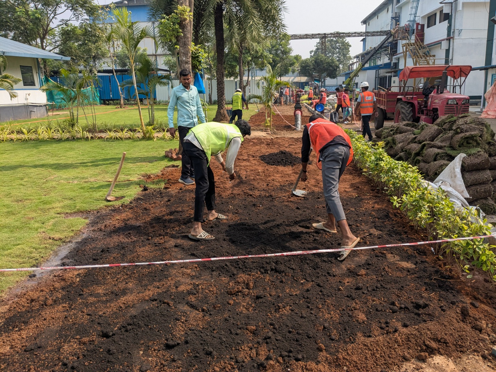 Premium Tree Transplanting Layout