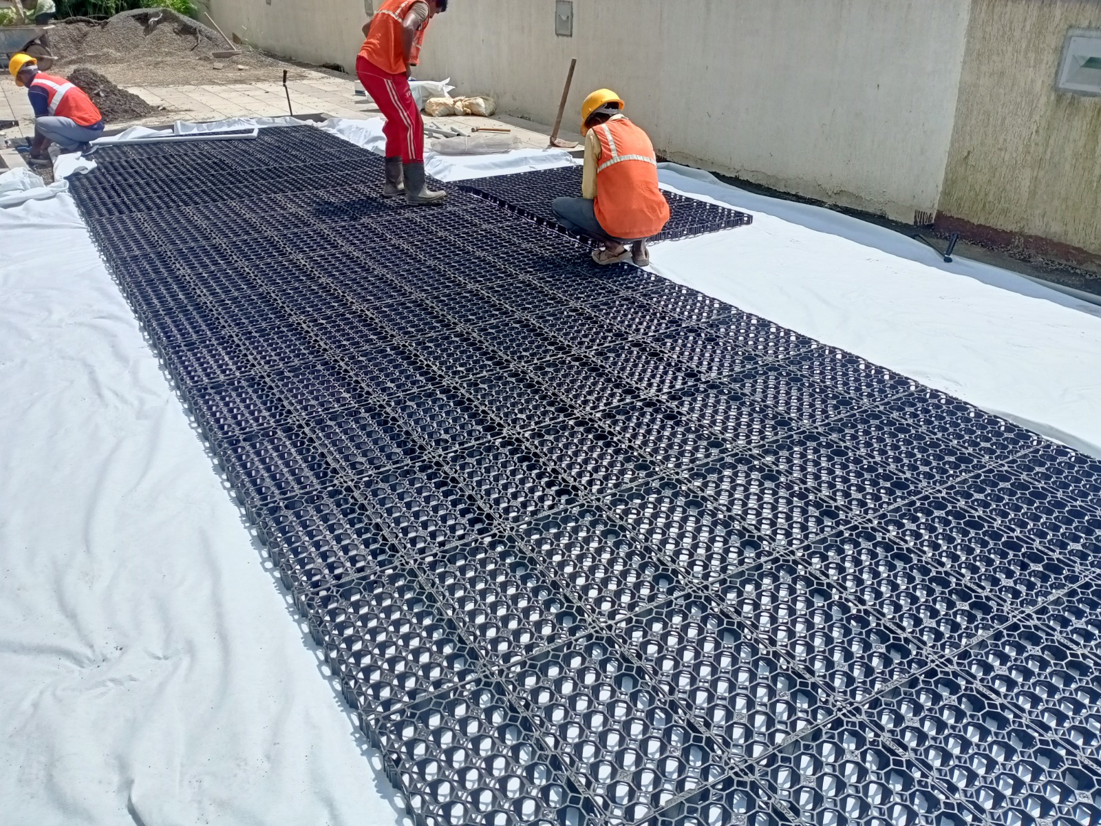 Drain cells